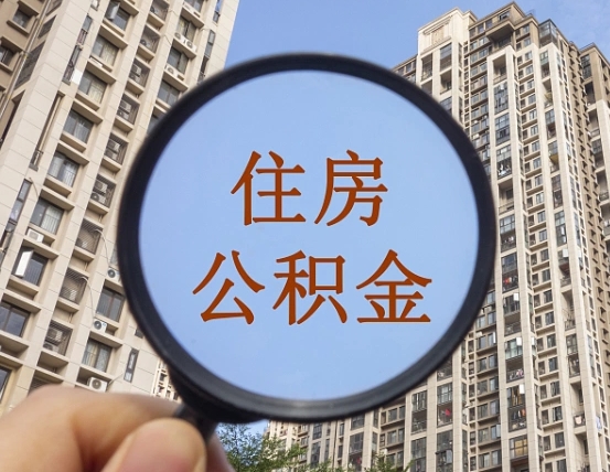 中国香港退休后查不到公积金明细了吗（退休后公积金查询不到原因）